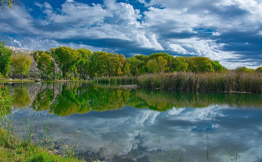 Dead Horse Ranch State Park, Arizona, USA